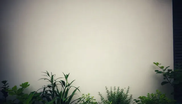 批次问题处理：手工分拣 vs 自动分拣的优劣对比